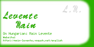 levente main business card